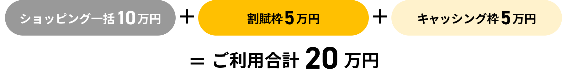 ショッピング一括10万円＋割賦枠5万円＋キャッシング枠5万円＝ご利用合計20万円
