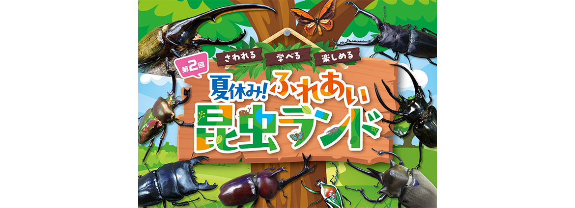 第2回　夏休み！ふれあい昆虫ランド