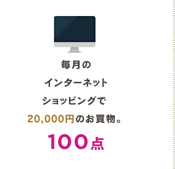 毎月の インターネット ショッピングで  20,000円のお買物。  100点