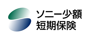 ソニー少額短期