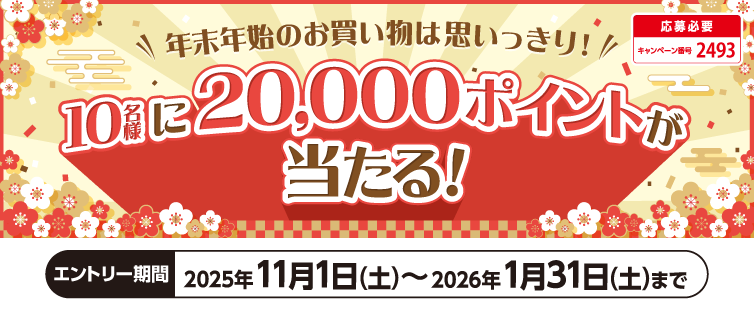期間中にエントリーのうえ、分割払いまたはショッピングリボ払いを合計10万円(税込・合算可)以上ご利用された方の中から抽選で10名様に20,000ポイントプレゼント。抽選は10万円ごとに1口としてご参加いただけます。<br>
あとから分割・あとからリボも対象です。