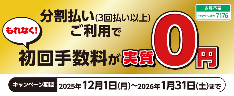 Ly[ԒAΏۓX܂ɂāAUCS}[N̂J[hŕ(3񕥂ȏ)pƁA̎萔LbVobNI<br>
Ly[Ԓ̂́yƂ番zΏۂłB