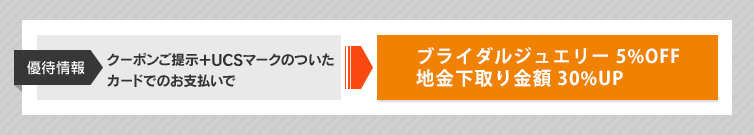 �D�ҏ��@�N�[�|�����񎦁{UCS�}�[�N�̂����J�[�h�ł̂��x�����Ńu���C�_���W���G���[ 5%OFF �n���������z 30%UP