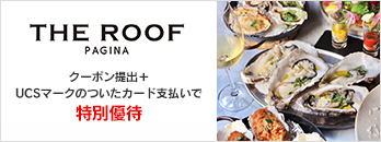 THE ROOF N[|o{UCS}[N̂J[hxœʗD