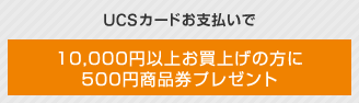 UCSJ[hx10,000~ȏエグ̕500~iv[g